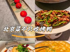-秀儿四九城·新京菜(亚运村鸟巢店)
