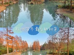 -西溪国家湿地公园