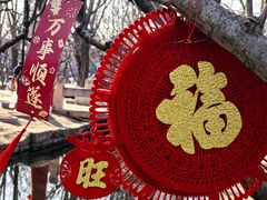 -春风习习