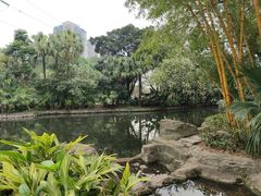 -晓港公园