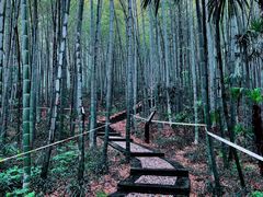 -南山风景名胜区