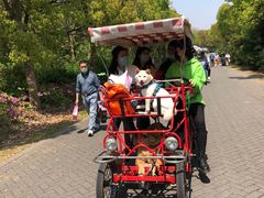 -上海长兴岛郊野公园