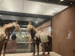 -西安大唐西市博物馆