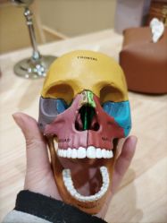 -小颜秘家·韩国整骨