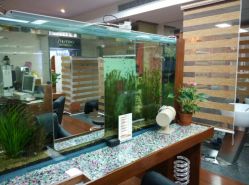 android_upload_pic-小左美发