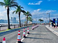 -野狸岛