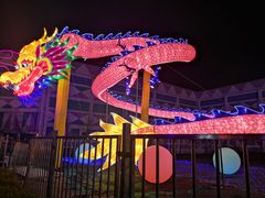 -锦江乐园舞狸花花游园会(夜场专享)