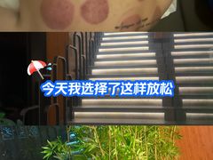 -新紫霞养生·影院足道·SPA(金山区店)