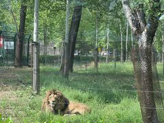 -秦皇岛野生动物园
