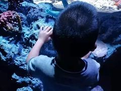 -贝林大翅鲸简餐厅(国家海洋博物馆店)