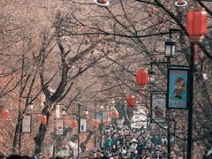 -北山公园