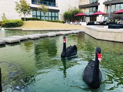 -行者书屋大堂吧 ·下午茶(南京圣和府邸酒店)