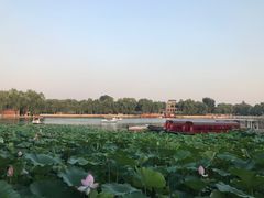 -小王府(什刹海店)