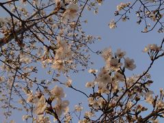 -西北湖绿化广场