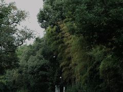 -黄公望隐居地