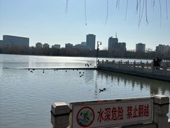 -莲花池公园