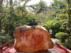 -三亚海棠湾南田温泉神龙谷