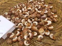 -美乐食街(小南店)