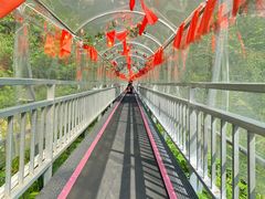 -牛鱼嘴原始生态风景区