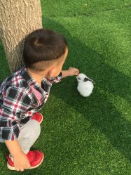 -萌宠亲子动物乐园(槐房万达店)