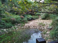 -杭州半山国家森林公园