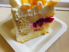 -维尔纳斯·生日蛋糕·动物奶油冰淇淋蛋糕(六里桥店)