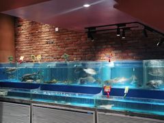 水产区-洞庭鱼香(万科店)