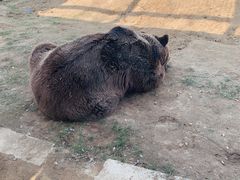 -祥源·阜阳生态乐园