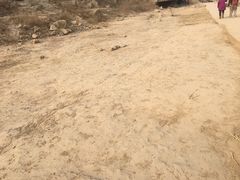 景点-陕西黄河壶口瀑布旅游区