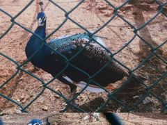 -云南艺术学院(呈贡校区)