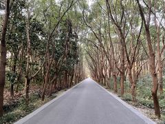 -同里国家湿地公园