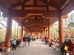 -重庆彩云湖湿地公园