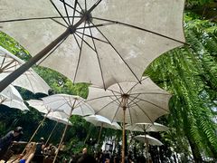 -Fern Forest Cafe