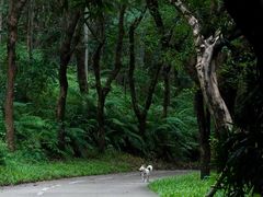 -燕晗山郊野公园