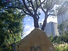 -昆山城市生态森林公园