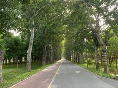 -东郊湿地公园