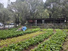 -庆丰农庄·团建·农家菜(大浪店)