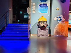 -中国宋庆龄青少年科技文化交流中心