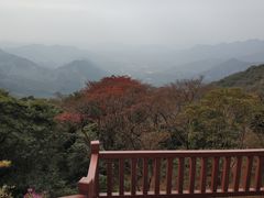 -广州市石门国家森林公园