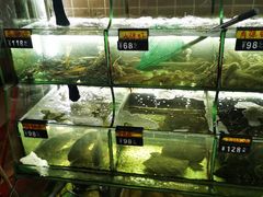 水产区-覃记海鲜美食餐厅