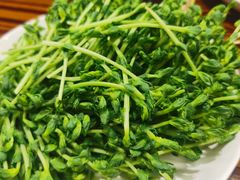 -谢记上海大排档(长寿路店)