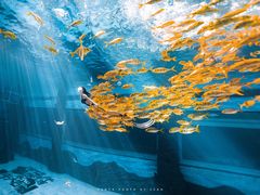 -三亚海昌梦幻海洋不夜城