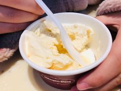 -哈根达斯(扬州瘦西湖店)