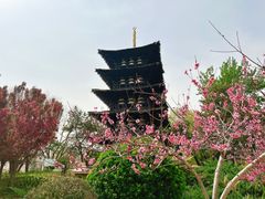 -北京世界公园