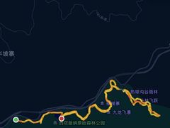 -西双版纳原始森林公园