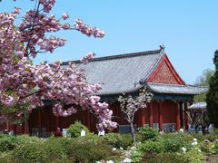 -曹州百花园