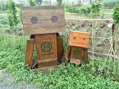 -田园东方蜜桃村的田野营地