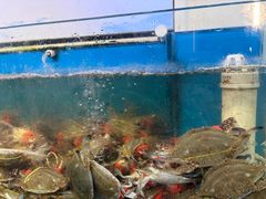 -仙螺岛海鲜自助餐厅(总店)