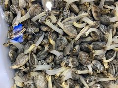 -老虎滩大连海鲜烧烤(建邺云锦路总店)