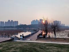 -月湖风景区